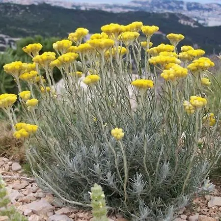 Semesterbostad Vue Et Nature Route De Cigala *