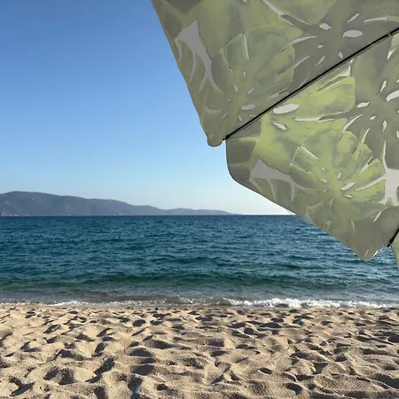 Vue Et Nature Route De Cigala Semesterbostad Sollacaro