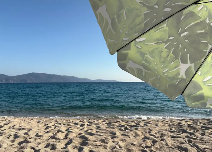 Vue Et Nature Route De Cigala Tatil Evi Sollacaro